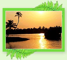 Alleppey Backwaters - Kerala 