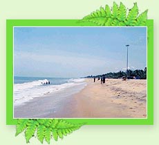 Aappuzha Beach - Kerala