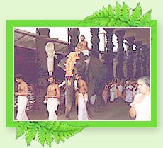 Guruvayoor Temple - Kerala