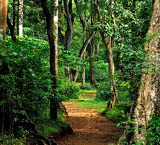 Thirumullavaram Beach - Kerala