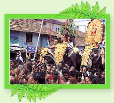 Thrissur Pooram - Fairs & Festivals in Kerala