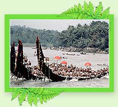 Snake Boat Race - Kerala