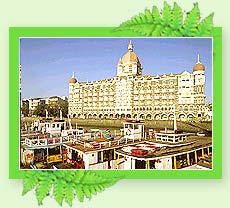 Taj Mahal Hotel - Mumbai